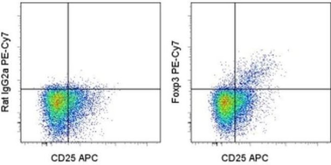 FOXP3 Antibody in Flow Cytometry (Flow)