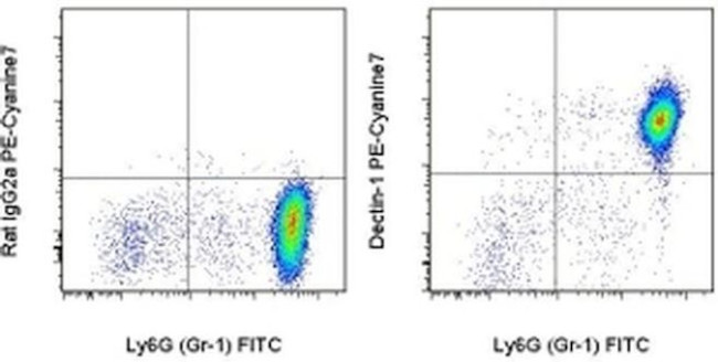 CD369 (Clec7a, Dectin-1) Antibody in Flow Cytometry (Flow)