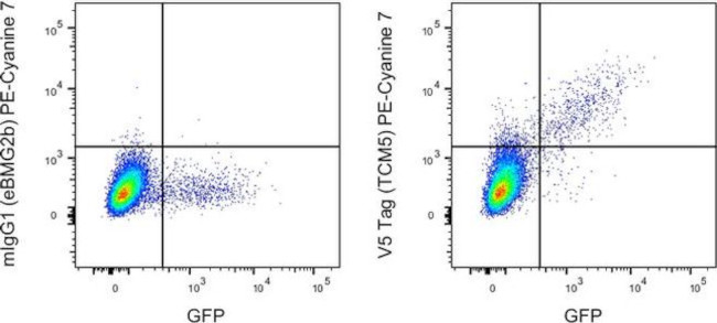 V5 Tag Antibody in Flow Cytometry (Flow)