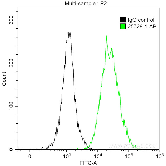 HBG1 Antibody in Flow Cytometry (Flow)