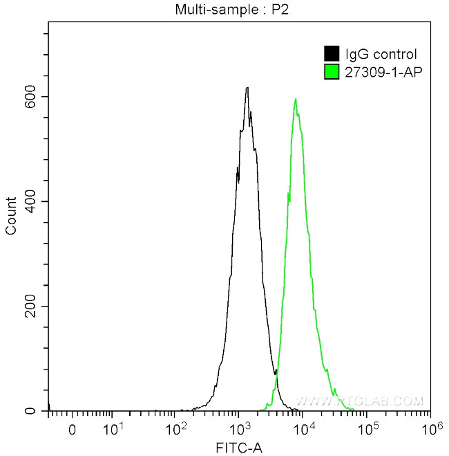 KI67 Antibody in Flow Cytometry (Flow)