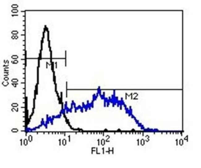 Mouse IgM Secondary Antibody in Flow Cytometry (Flow)