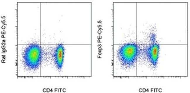 FOXP3 Antibody in Flow Cytometry (Flow)