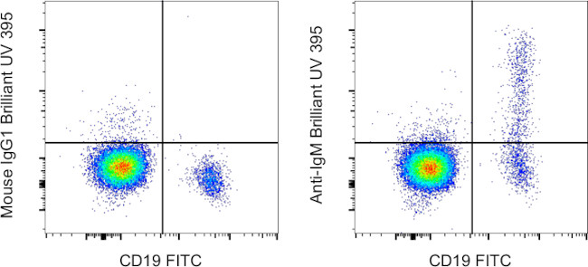 IgM Antibody in Flow Cytometry (Flow)