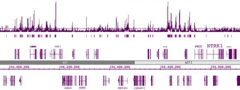 Histone H2BK5ac Antibody in ChIP-Sequencing (ChIP-Seq)