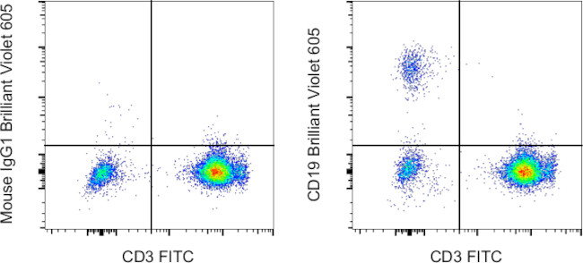 CD19 Antibody in Flow Cytometry (Flow)