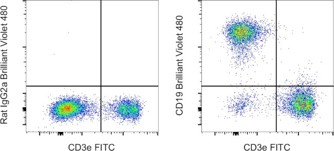 CD19 Antibody in Flow Cytometry (Flow)