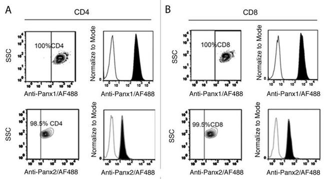 Pannexin 2 Antibody in Flow Cytometry (Flow)