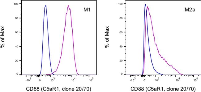 CD88 (C5aR1) Antibody