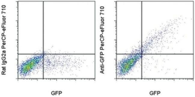 GFP Antibody in Flow Cytometry (Flow)