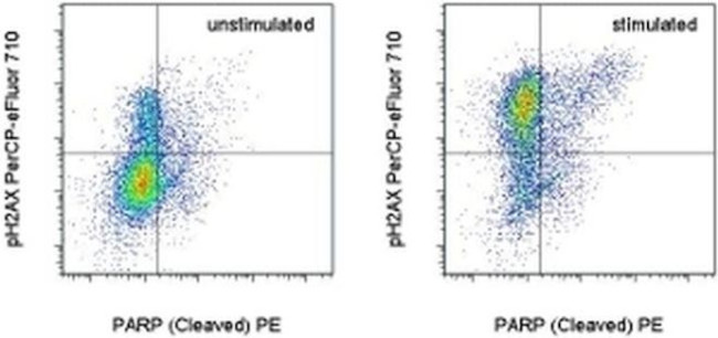 Phospho-Histone H2A.X (Ser139) Antibody in Flow Cytometry (Flow)