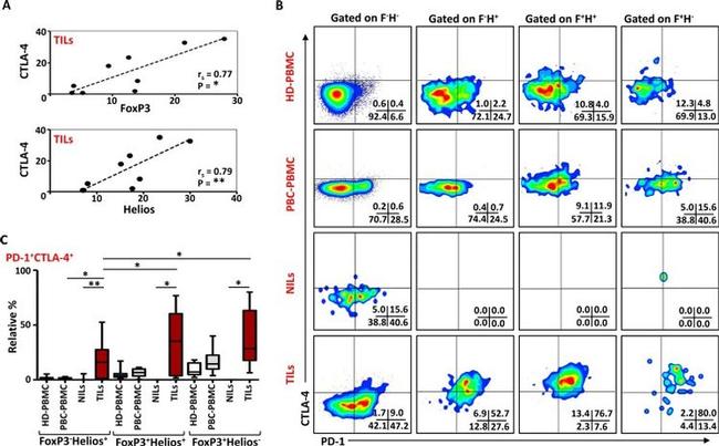 CD152 (CTLA-4) Antibody in Flow Cytometry (Flow)