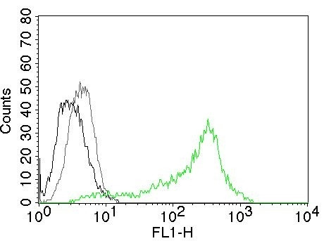 Nucleolin (Marker of Human Cells) Antibody in Flow Cytometry (Flow)