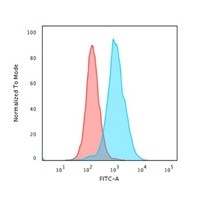 Nucleolin (Marker of Human Cells) Antibody in Flow Cytometry (Flow)