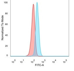 NFIA/NF1A (Nuclear Factor 1A) (Transcription Factor) Antibody in Flow Cytometry (Flow)