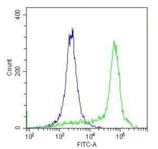 TLR4 Antibody in Flow Cytometry (Flow)