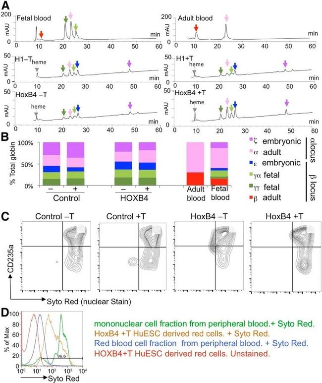 CD235a (Glycophorin A) Antibody in Flow Cytometry (Flow)