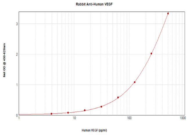 VEGF-165 Antibody in ELISA (ELISA)