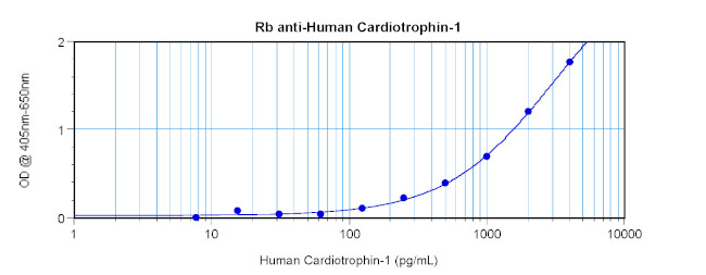Cardiotrophin 1 Antibody in ELISA (ELISA)
