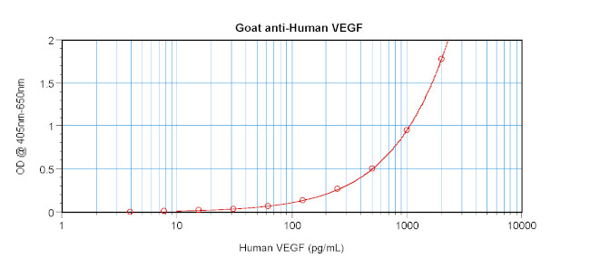 VEGF-165 Antibody in ELISA (ELISA)