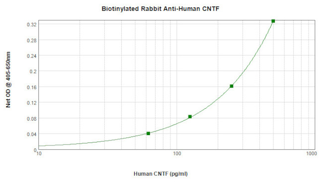 CNTF Antibody in ELISA (ELISA)