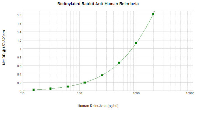 RELM beta Antibody in ELISA (ELISA)