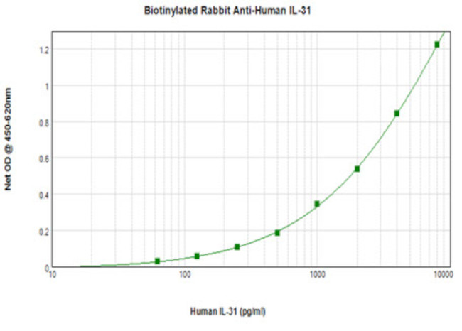 IL-31 Antibody in ELISA (ELISA)