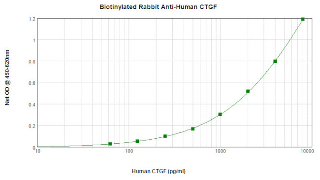 CTGF Antibody in ELISA (ELISA)