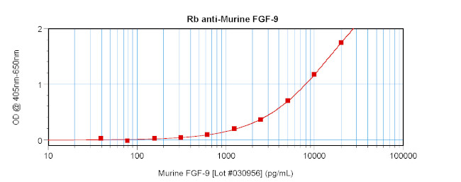 FGF9 Antibody in ELISA (ELISA)