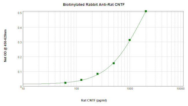 CNTF Antibody in ELISA (ELISA)