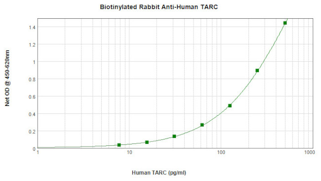 TARC Antibody in ELISA (ELISA)