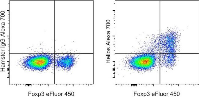 HELIOS Antibody in Flow Cytometry (Flow)