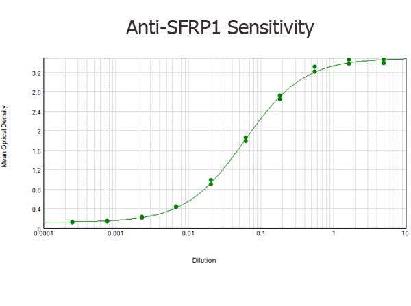 SFRP1 Antibody in ELISA (ELISA)