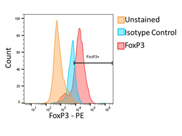 Foxp3 Antibody in Flow Cytometry (Flow)