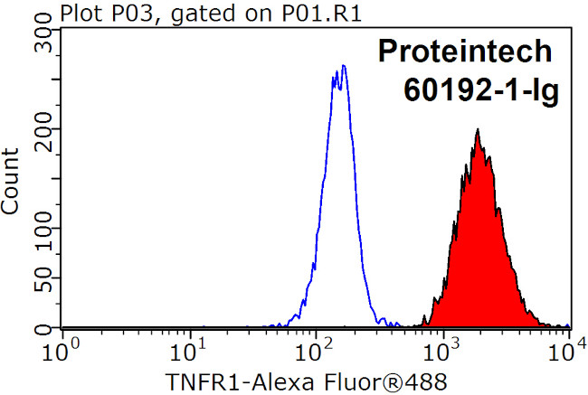TNFR1 Antibody in Flow Cytometry (Flow)