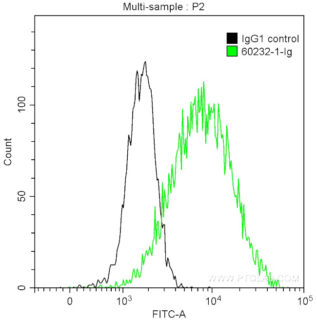 CD9 Antibody in Flow Cytometry (Flow)