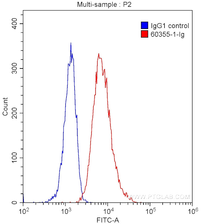 TIM3 Antibody in Flow Cytometry (Flow)