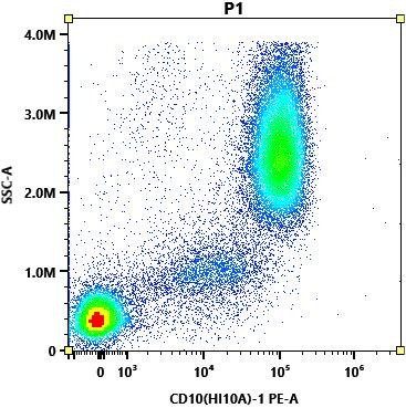 CD10 Antibody in Flow Cytometry (Flow)