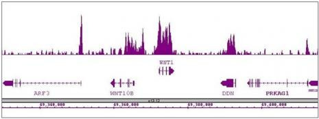 Nanog Antibody in ChIP-Sequencing (ChIP-Seq)