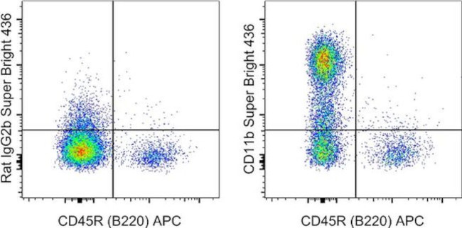 CD11b Monoclonal Antibody (M1/70), Super Bright™ 436 (62-0112-82)