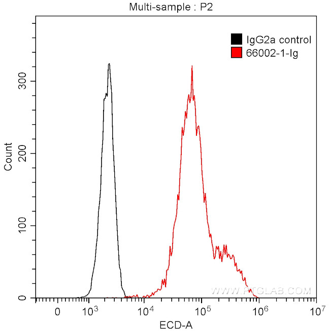 GFP tag Antibody in Flow Cytometry (Flow)