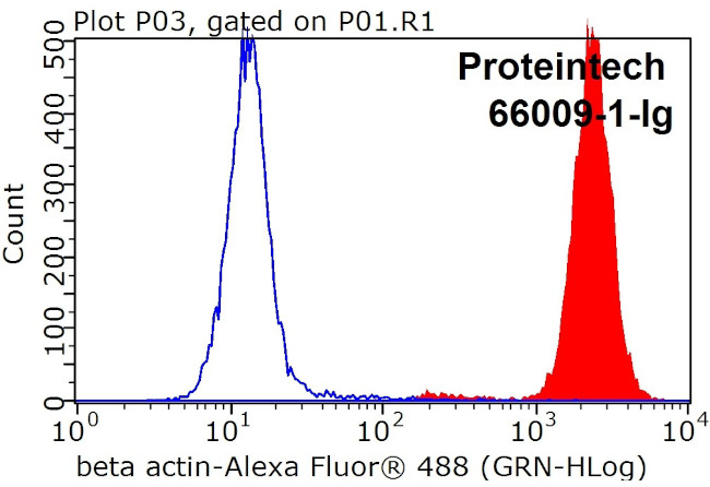 beta Actin Antibody in Flow Cytometry (Flow)