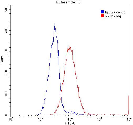 Phospho-TDP43 (Ser403, Ser404) Antibody in Flow Cytometry (Flow)