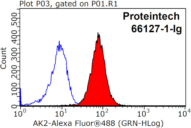 AK2 Antibody in Flow Cytometry (Flow)
