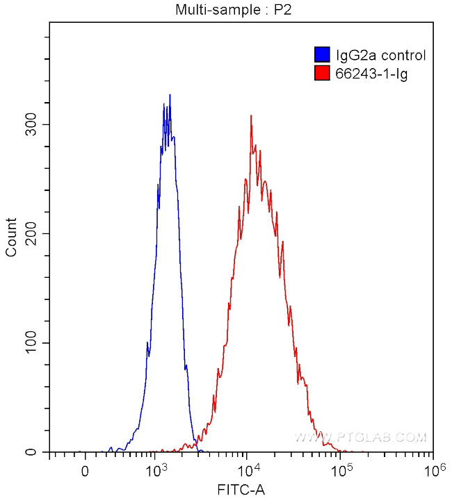 CA9 Antibody in Flow Cytometry (Flow)