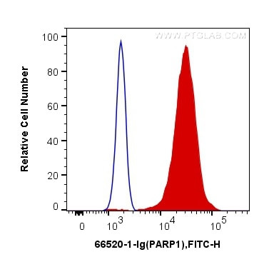 PARP1 Antibody in Flow Cytometry (Flow)