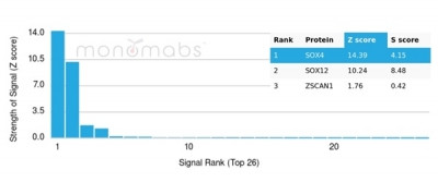 SOX4 (Master Regulator of Epithelial-Mesenchymal Transition) Antibody in Peptide array (ARRAY)