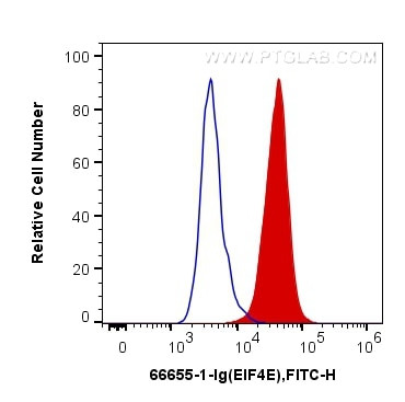 EIF4E Antibody in Flow Cytometry (Flow)