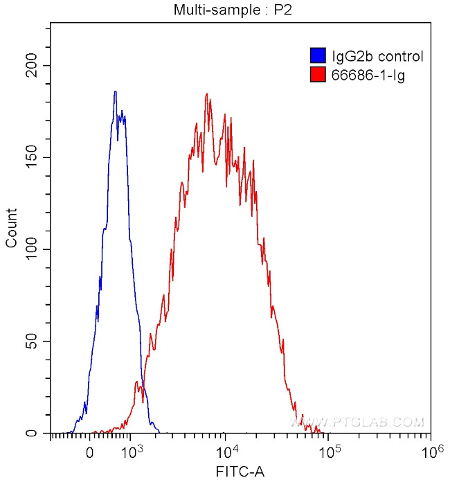 Galectin-4 Antibody in Flow Cytometry (Flow)