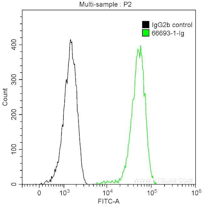 CALD1 Antibody in Flow Cytometry (Flow)